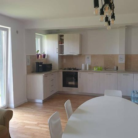 Garden Leisure Apartments ブラショフ エクステリア 写真