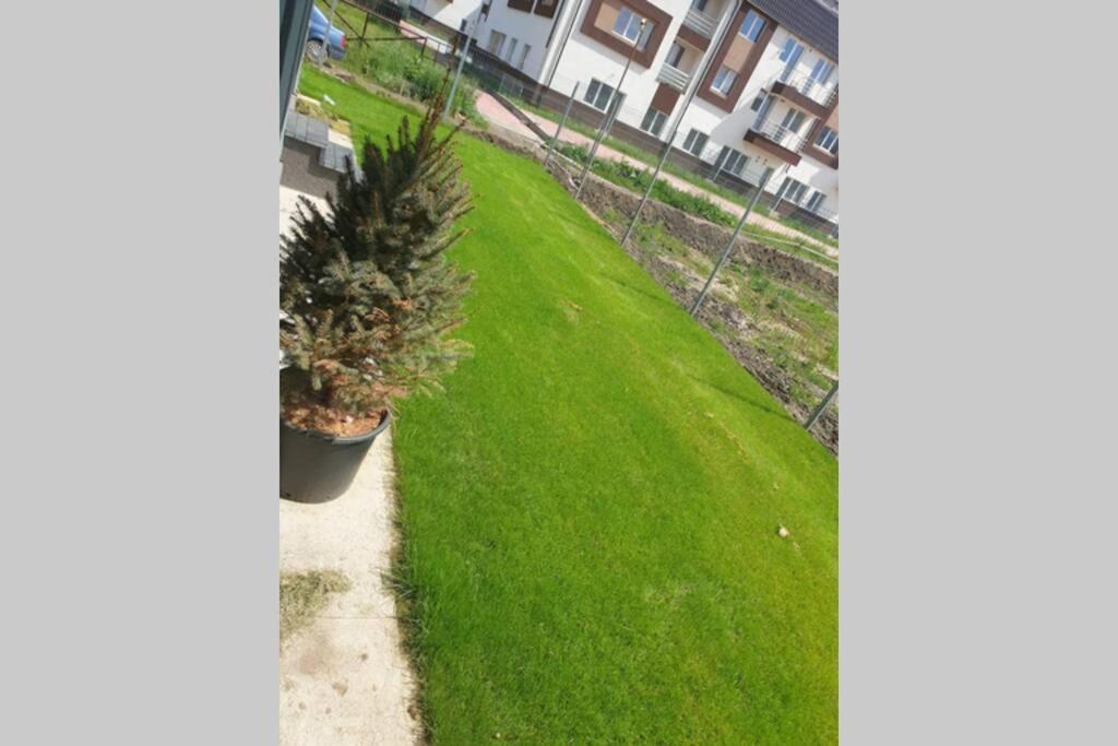 Garden Leisure Apartments ブラショフ エクステリア 写真