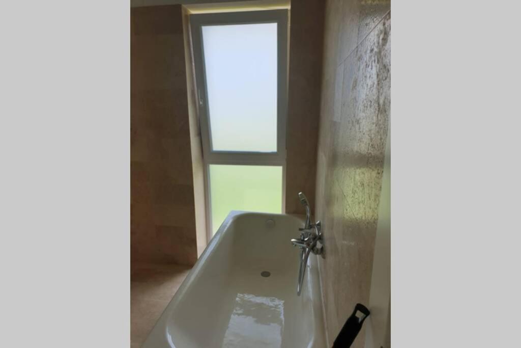 Garden Leisure Apartments ブラショフ エクステリア 写真